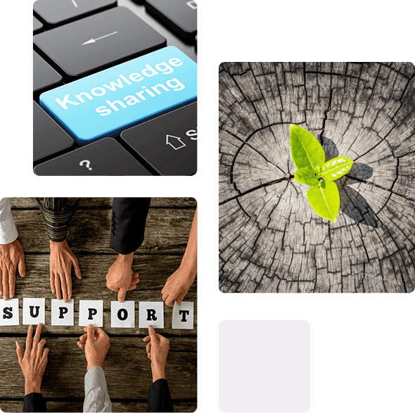 A collage of photos with hands on keyboard, tree stump and people holding letters.