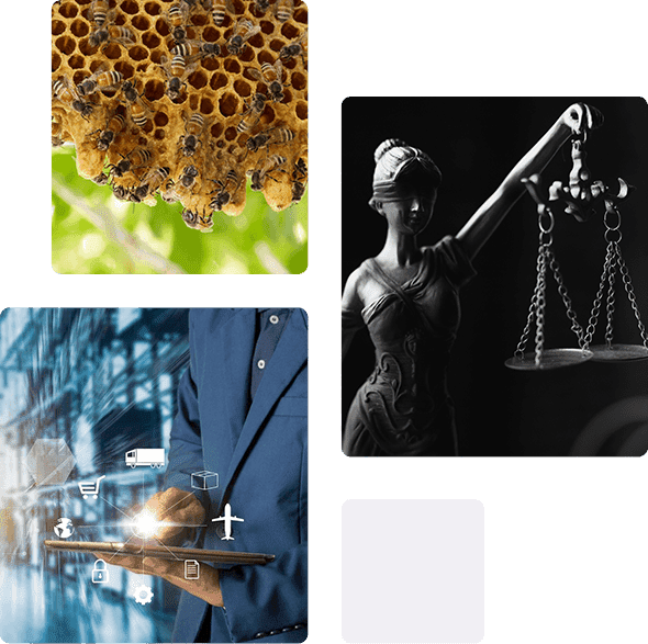 task-33 A collage of different images with the same image.